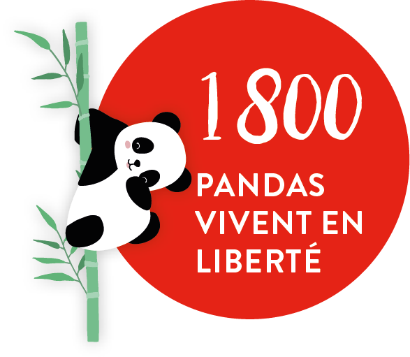 panda